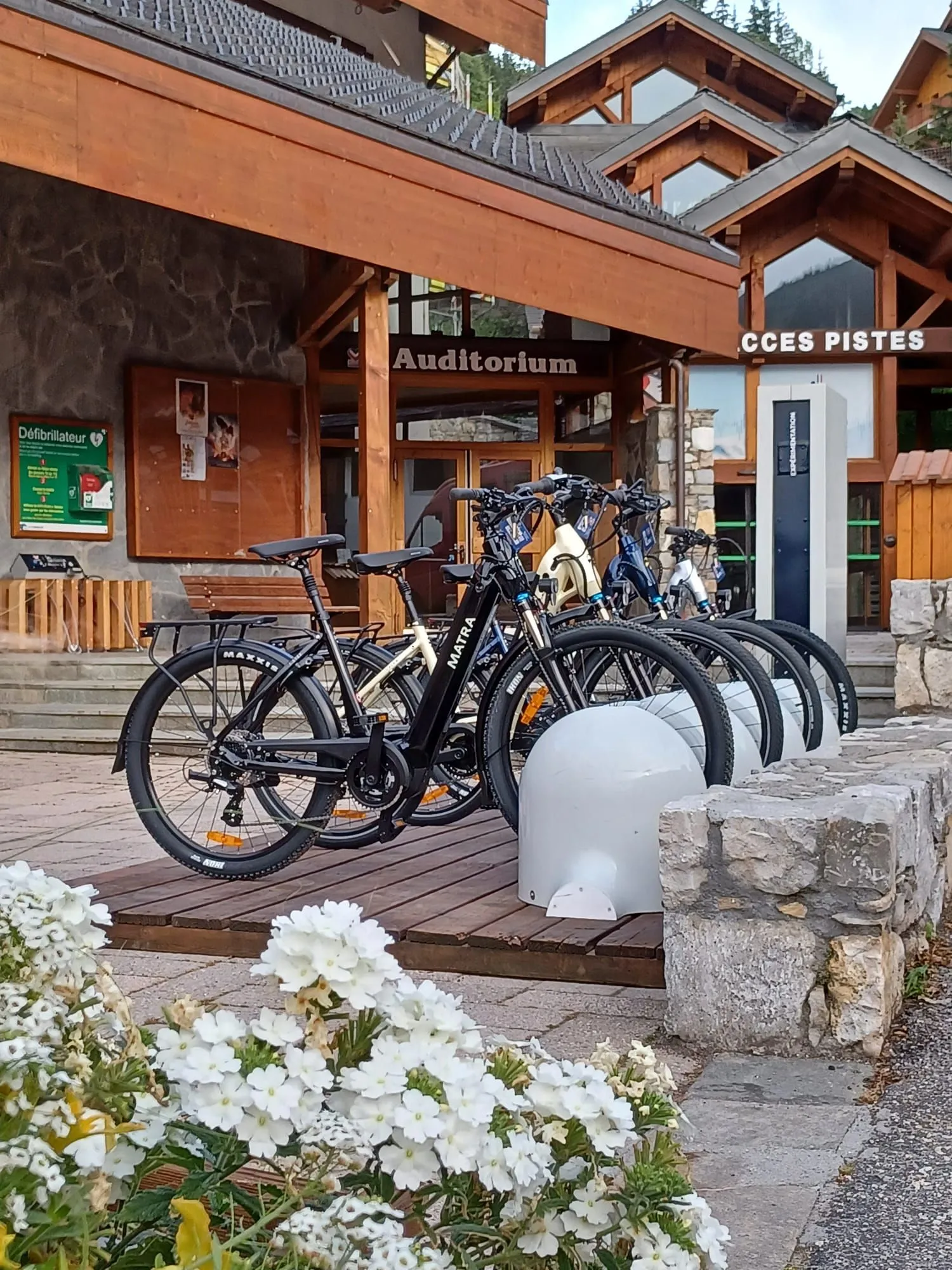 Flotte de vélos partagés